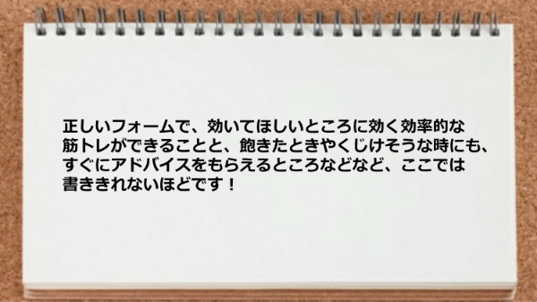 正しいフォームで効率的な筋トレができましたし、飽きたときやくじけそうな時にアドバイスをもらえました。