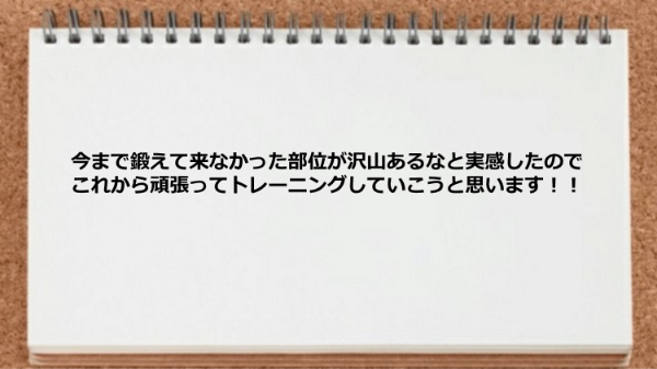 今まで鍛えて来なかった部位が沢山あることを痛感しました。
