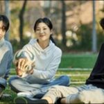 受験生の運動不足解消方法お勧め3選！小学生、中学生、高校生必見